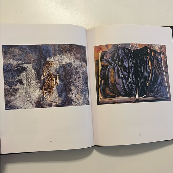 Bookworm by Rosamond Purcell Hardback Book - Picture 13 of 14